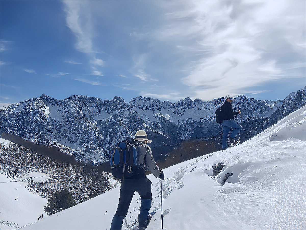 Snowshoers climbing above the treeline with a snow-covered ridgeline behind
