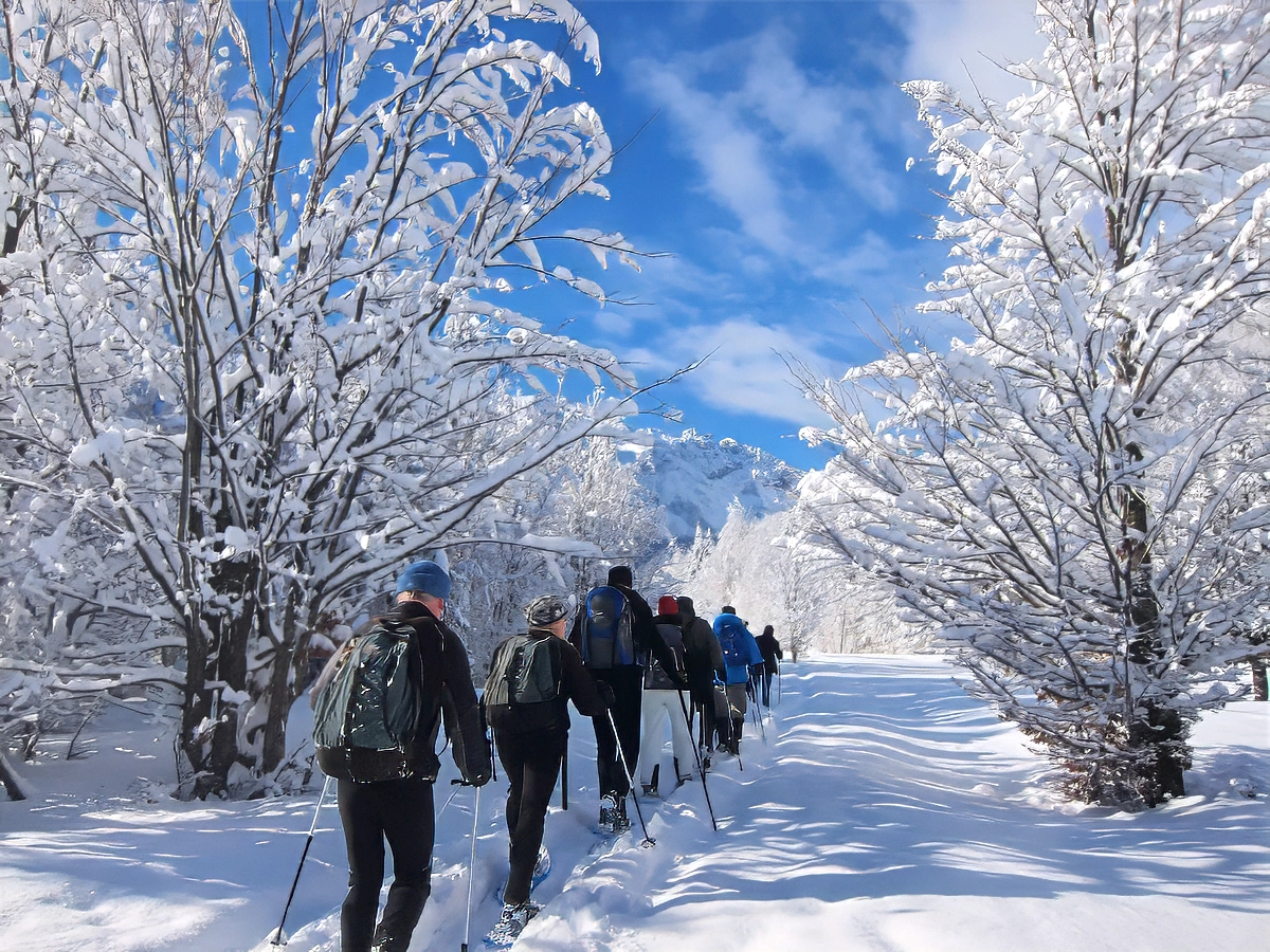 A group walking a trail between frost-laden trees