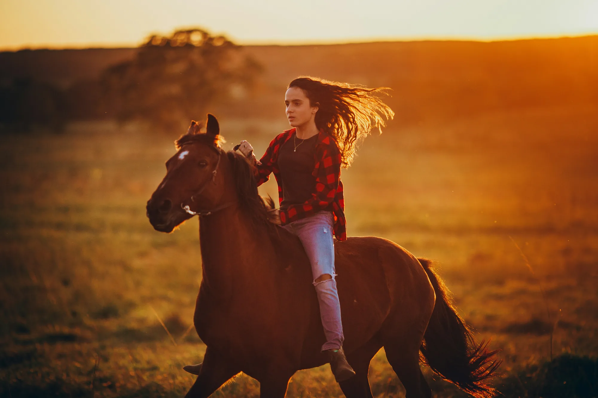 A rider on horseback crossing open country in late afternoon light