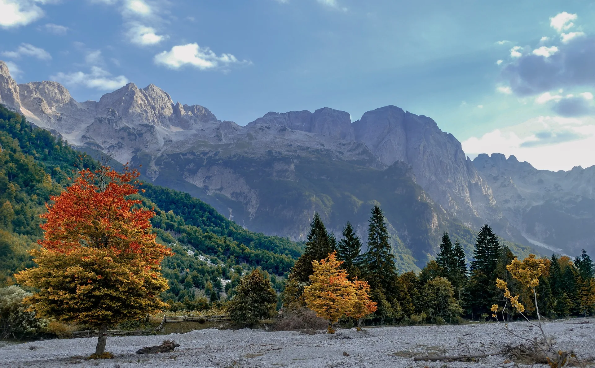 Autumn trees below the limestone peaks of the Valbona valley